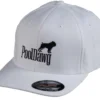 PoolDawg Logo White Baseball Hat